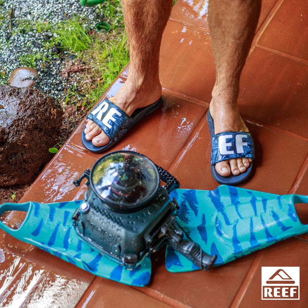 Coleccion de productos, ejemplo. Julio 2021.